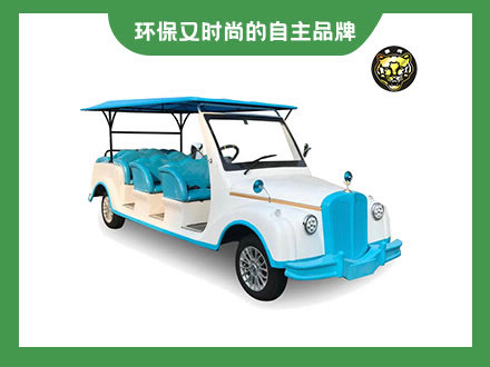 11座电动老爷车