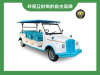 11座电动老爷车